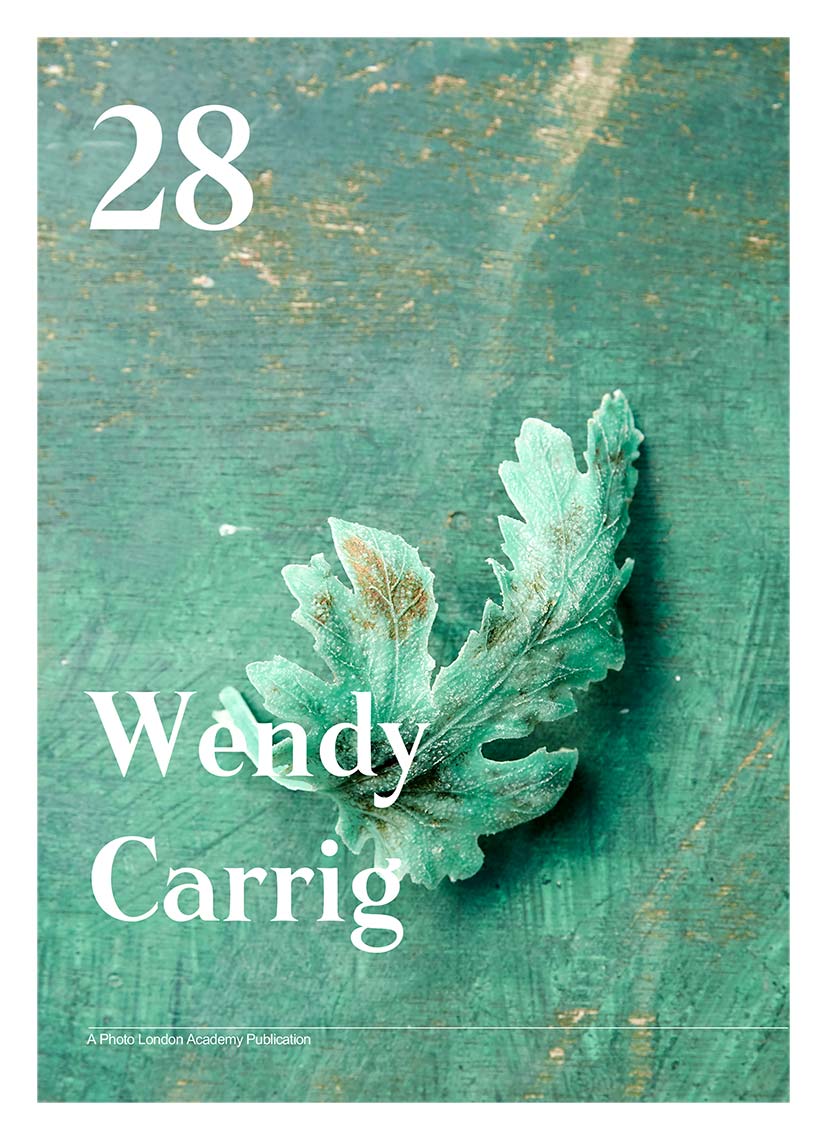 Issue-28---Wendy-Carrig-1v